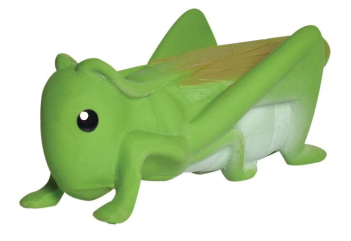 My First Tikiri Teether and Bath Toy - Grasshopper Gift Boxed