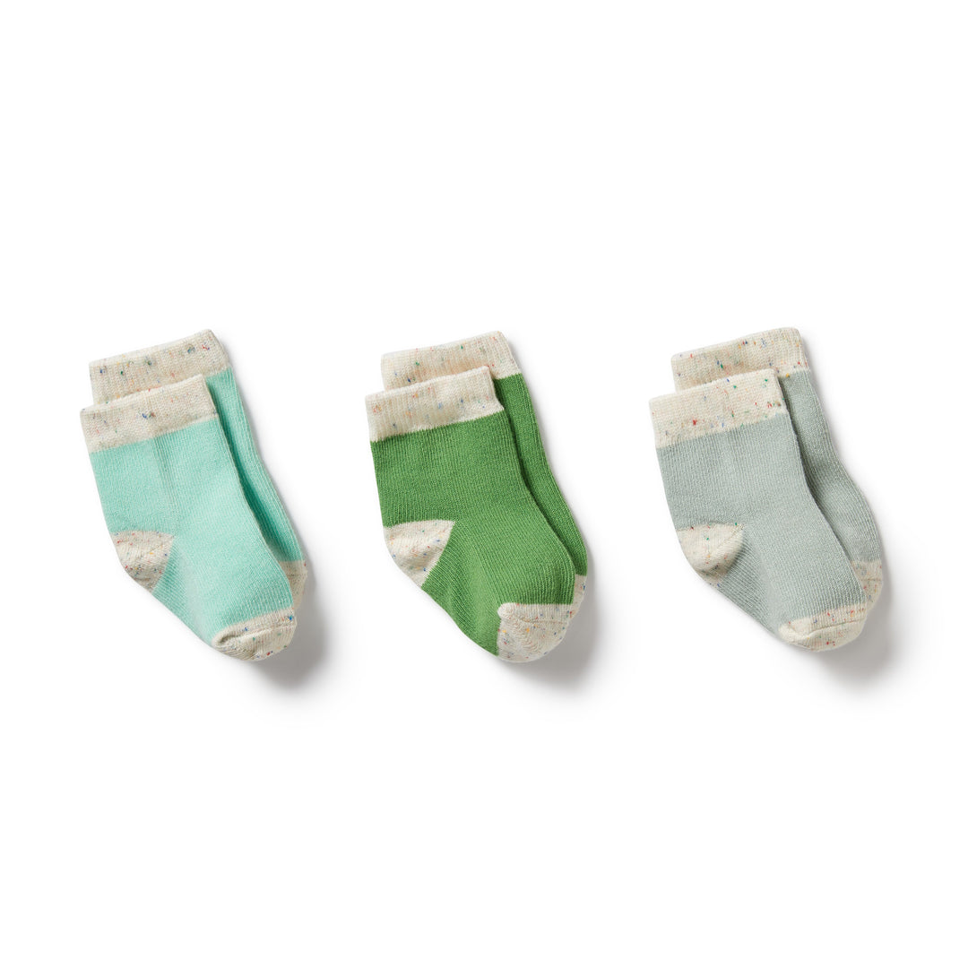 Wilson and Frenchy 3 Pack Baby Socks - Mint Green/Cactus/Smoke Blue
