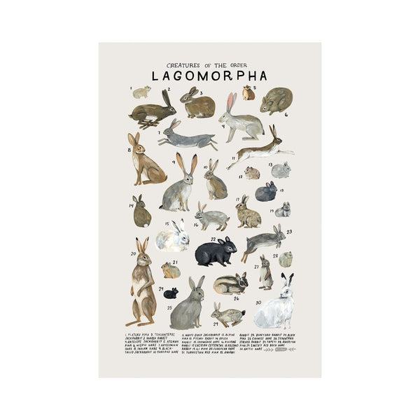 Lagomorpha Print, Kelzuki, Dapper Mr Bear