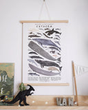 Cetacea Print, Kelzuki, Dapper Mr Bear