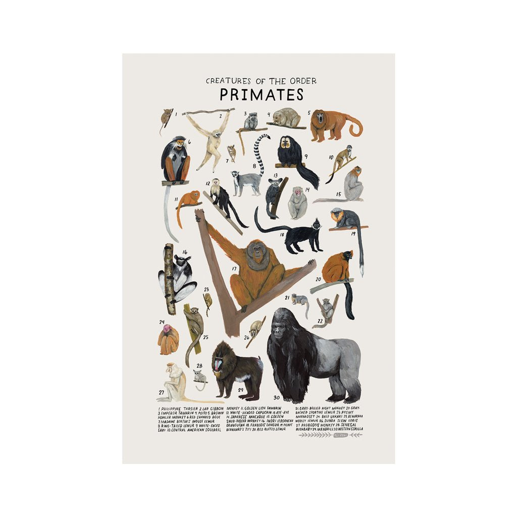 Primates Print, Kelzuki | Dapper Mr Bear