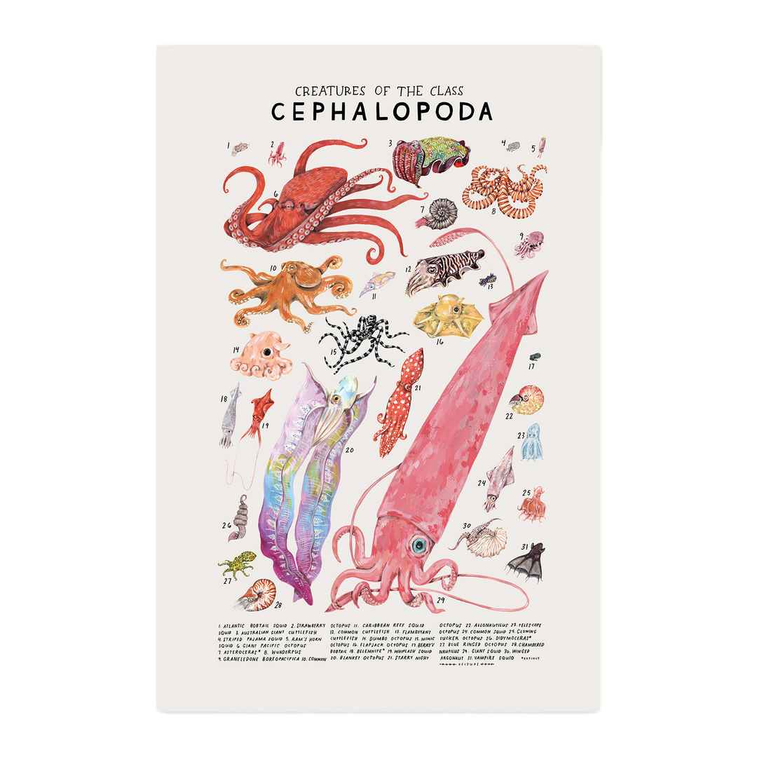 Kelzuki Cephalopoda Art Print