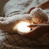 Moonie Humming Bear Light and Sleep Aid - Rose - Dapper Mr Bear - www.dappermrbear.com - NZ