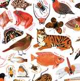 Kelzuki Rainbow of Animals Print