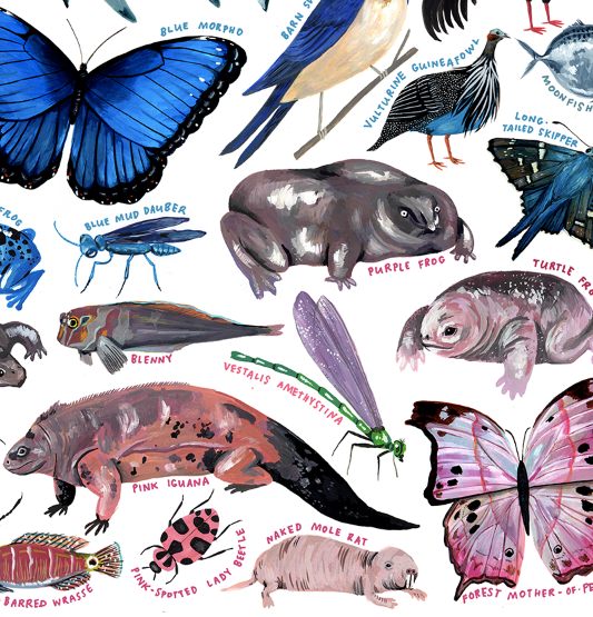 Kelzuki Rainbow of Animals Print